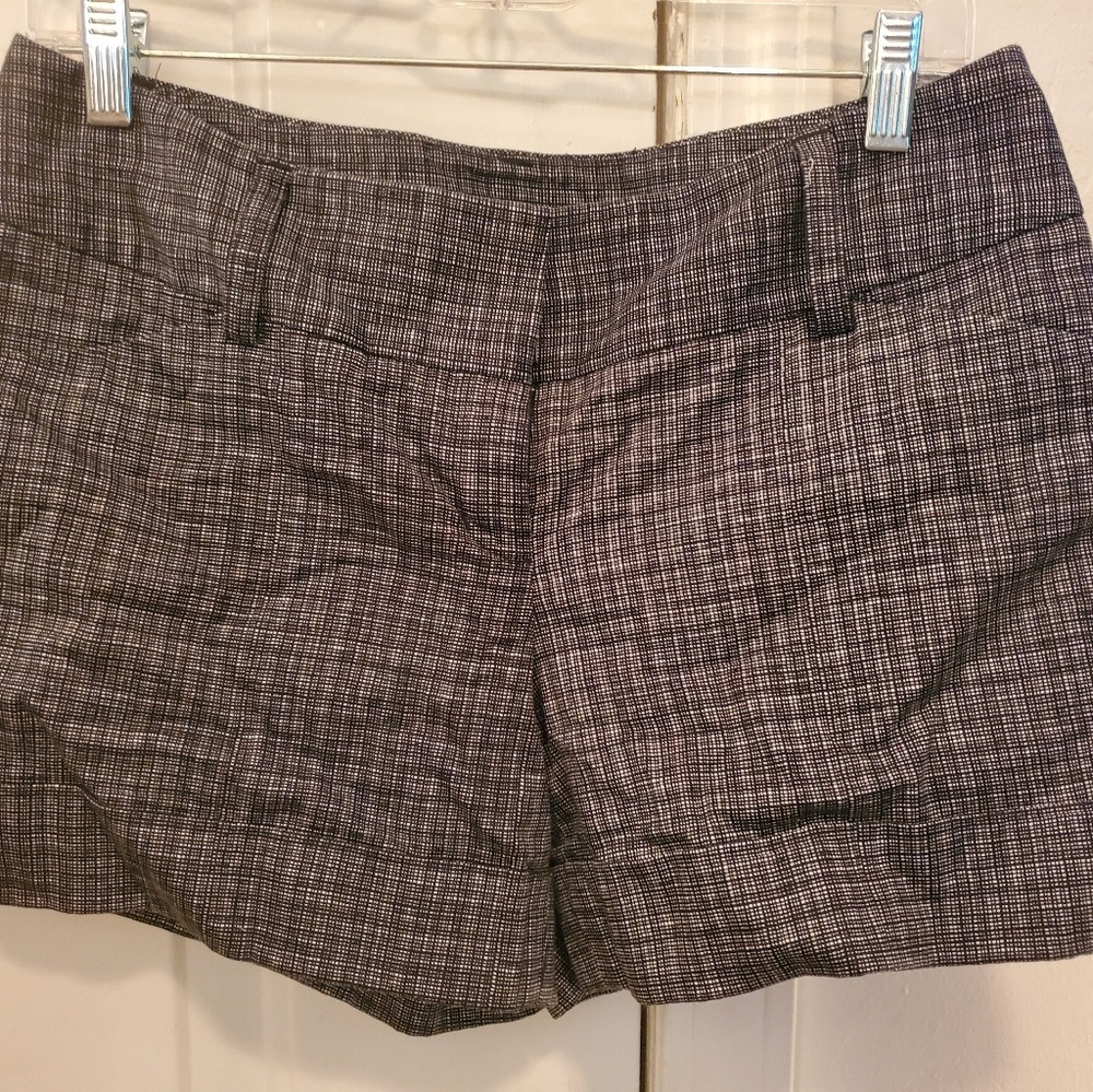 Express design studio shorts
